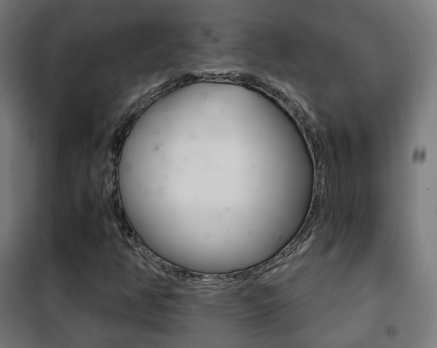X0000102241350200807250828