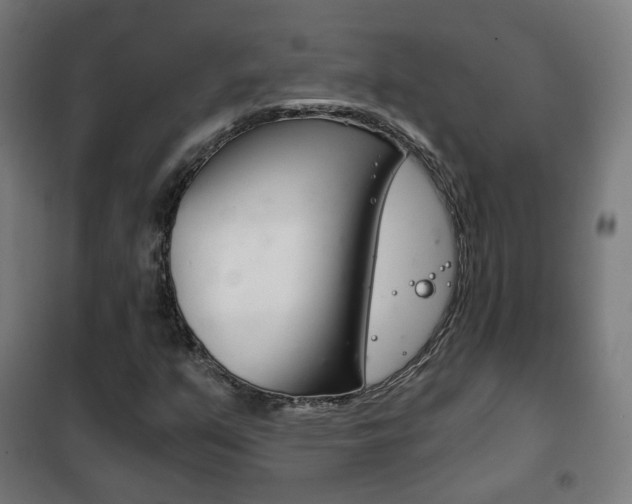 X0000102241351200807250828