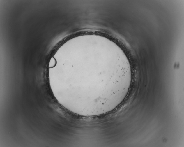 X0000102241352200807250828