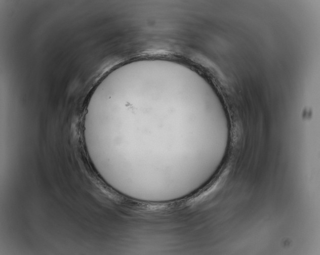 X0000102241353200807250828