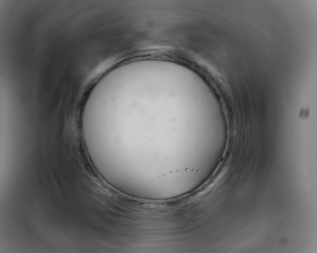 X0000102241354200807250828