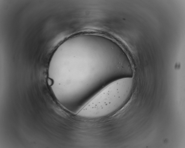 X0000102241355200807250828