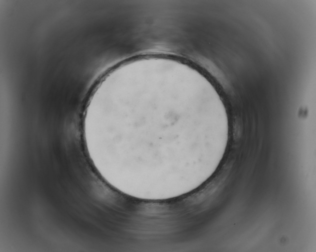 X0000102241356200807250828