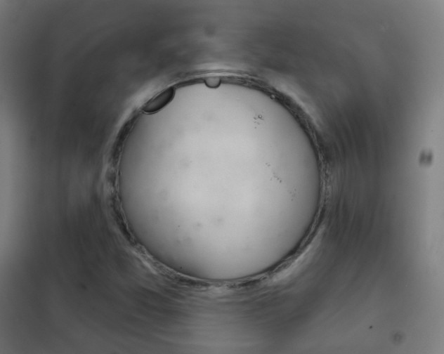 X0000102241357200807250828