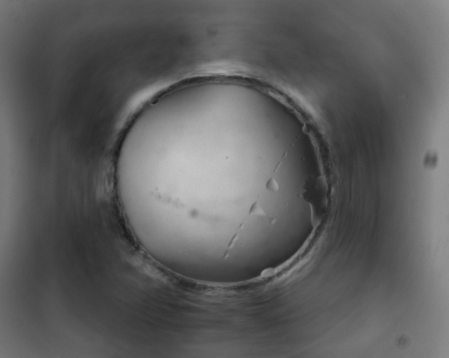 X0000102241358200807250828