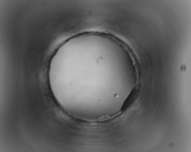 X0000102241359200807250828