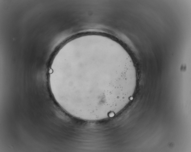 X0000102241360200807250828
