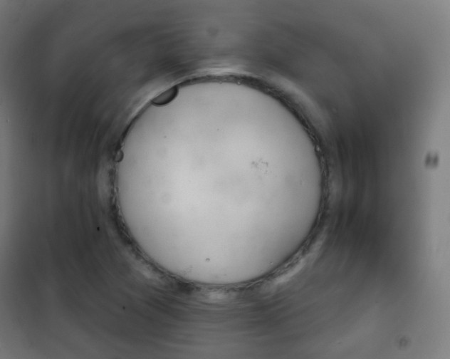 X0000102241361200807250827