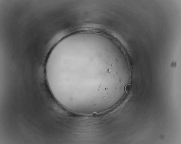 X0000102241362200807250827