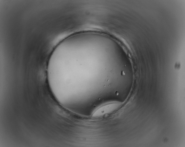 X0000102241363200807250827