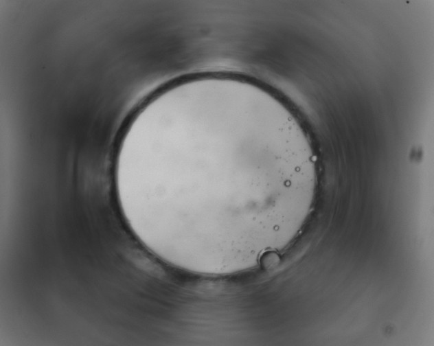 X0000102241364200807250827