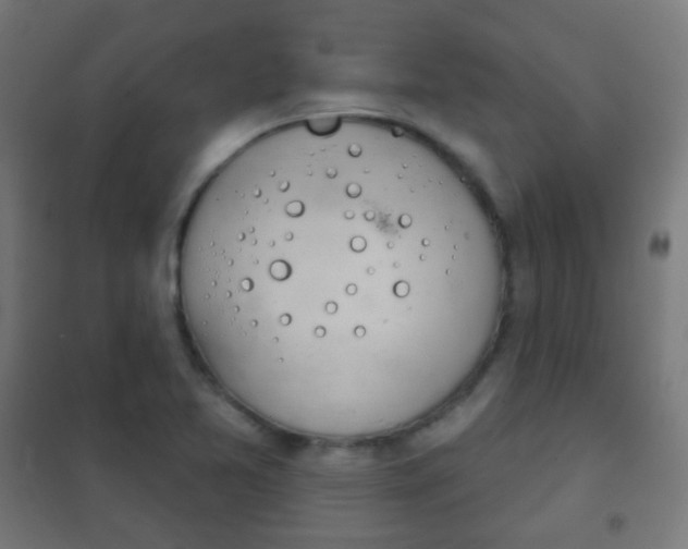 X0000102241365200807250827