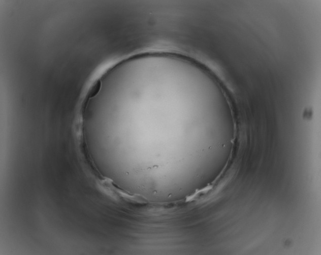 X0000102241366200807250827