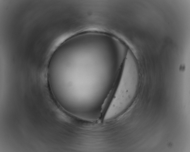 X0000102241367200807250827