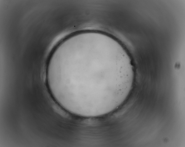 X0000102241368200807250827