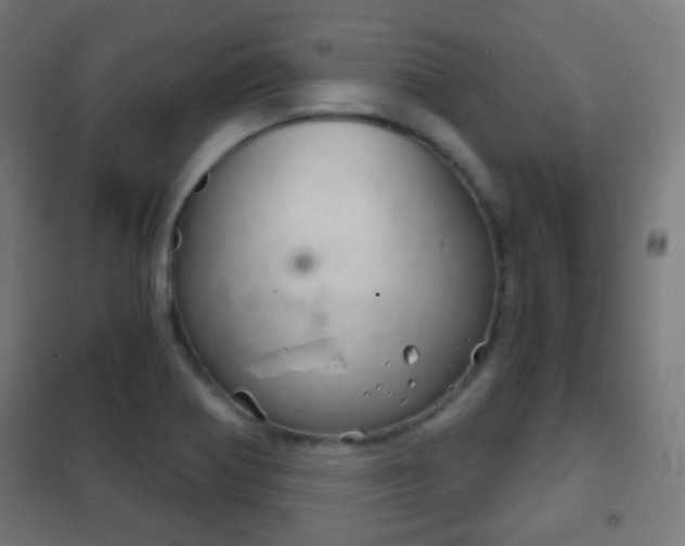X0000102241370200807250827