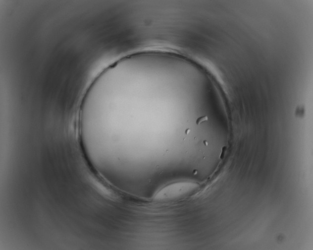 X0000102241371200807250827