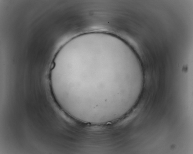 X0000102241373200807250827