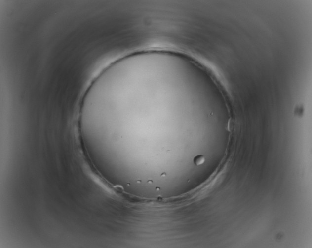 X0000102241374200807250827