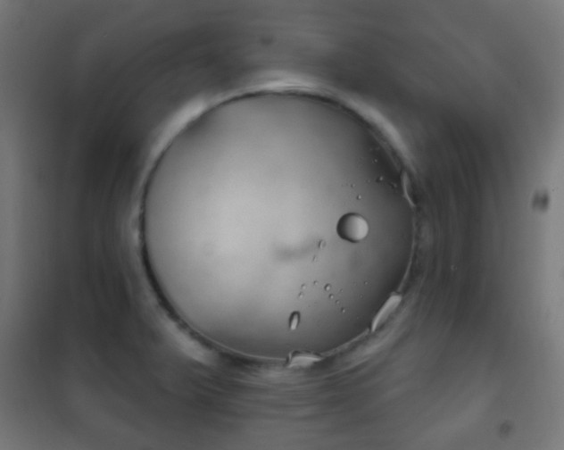 X0000102241375200807250827