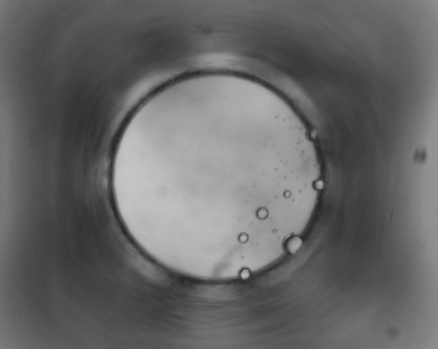 X0000102241376200807250827