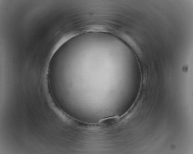 X0000102241378200807250827