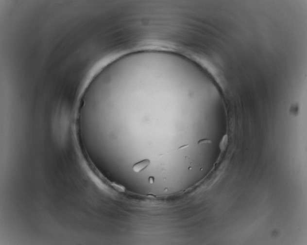 X0000102241379200807250827