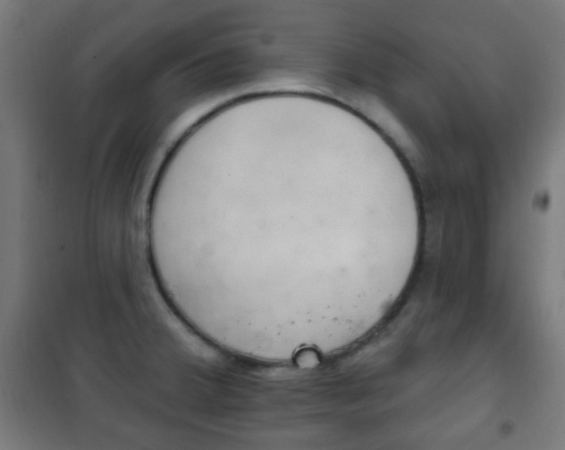 X0000102241380200807250827