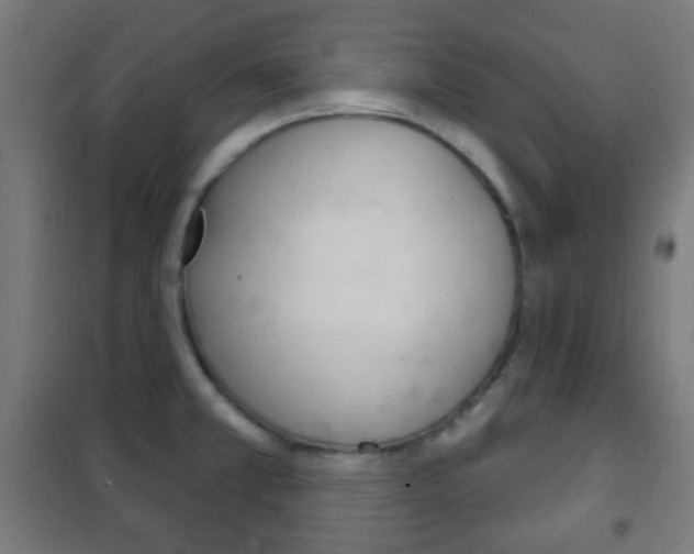 X0000102241381200807250827