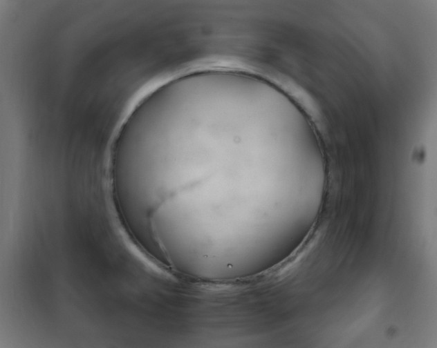 X0000102241382200807250827