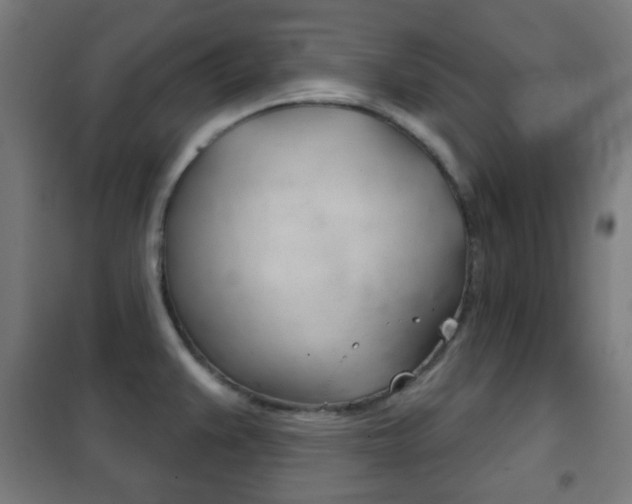 X0000102241383200807250827