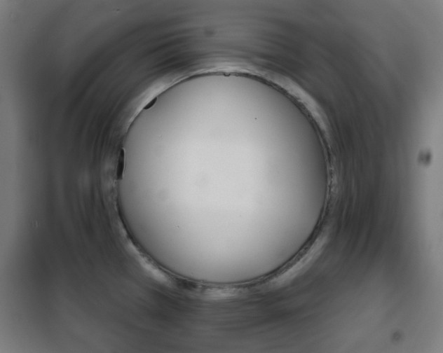 X0000102241385200807250827