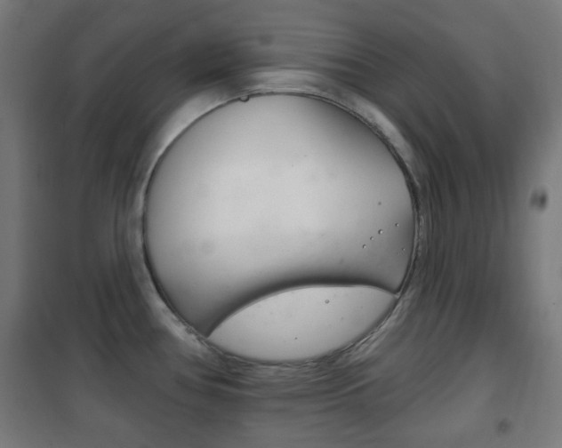 X0000102241386200807250827
