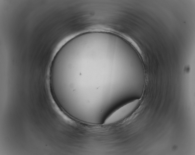 X0000102241387200807250827