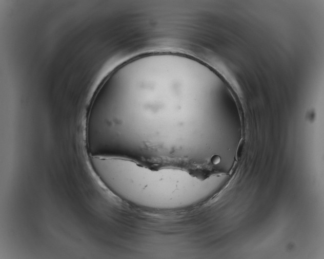 X0000102241388200807250827