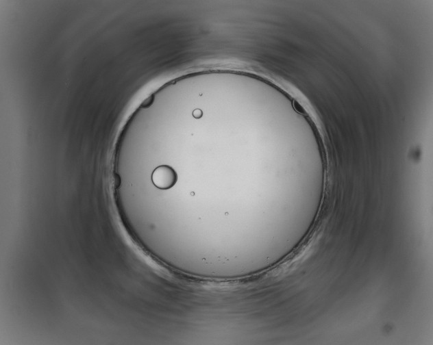 X0000102241389200807250827