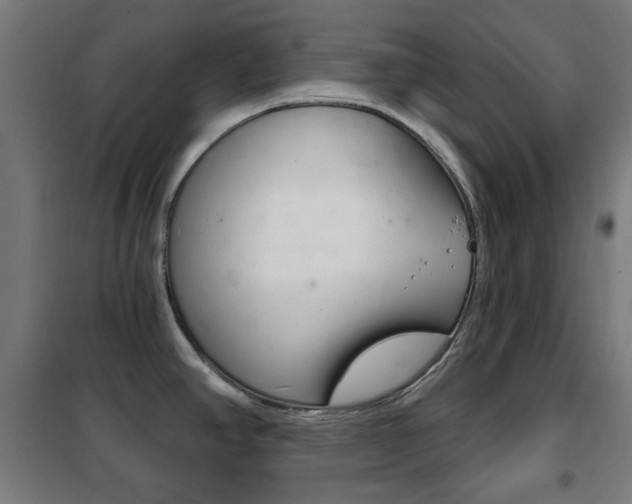 X0000102241390200807250827