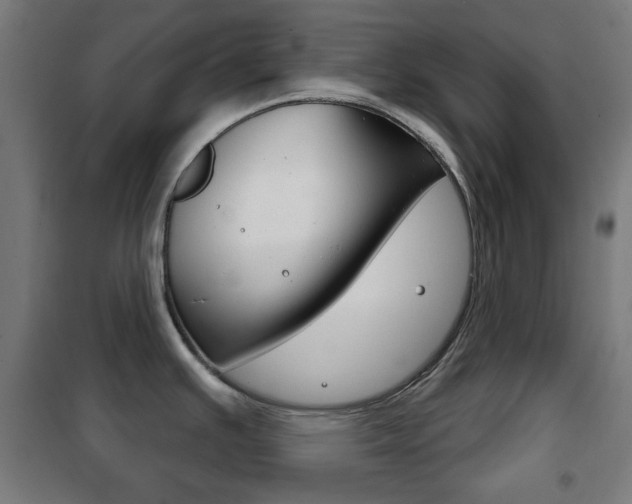 X0000102241391200807250827