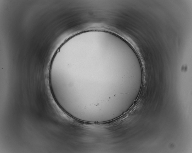 X0000102241392200807250827