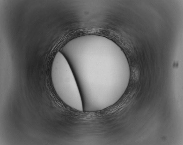 X0000102241393200807250826