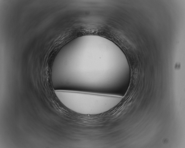 X0000102241394200807250826