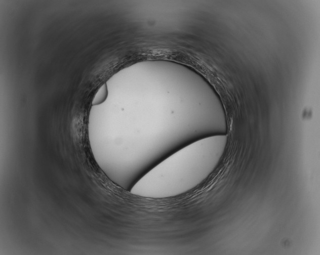 X0000102241395200807250826