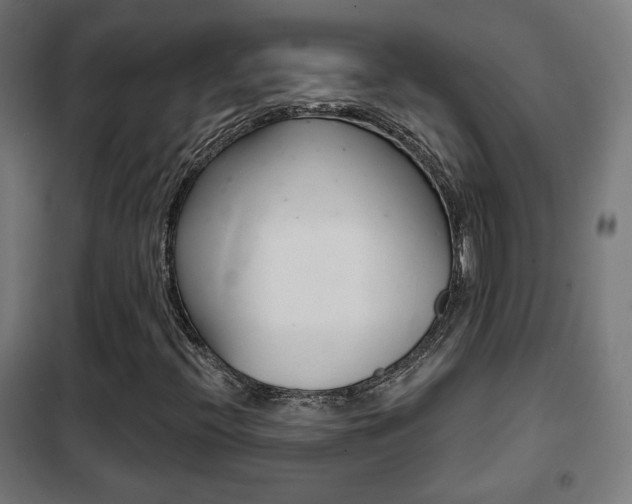 X0000102241396200807250826