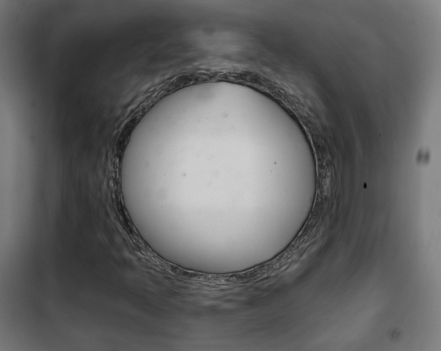 X0000102241397200807250826