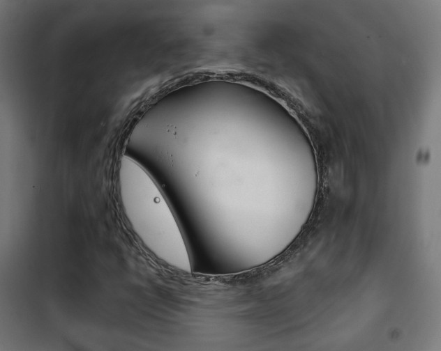 X0000102241398200807250826