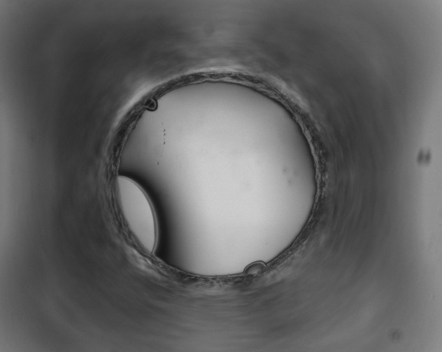 X0000102241400200807250827