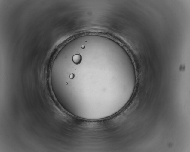 X0000102241402200807250827