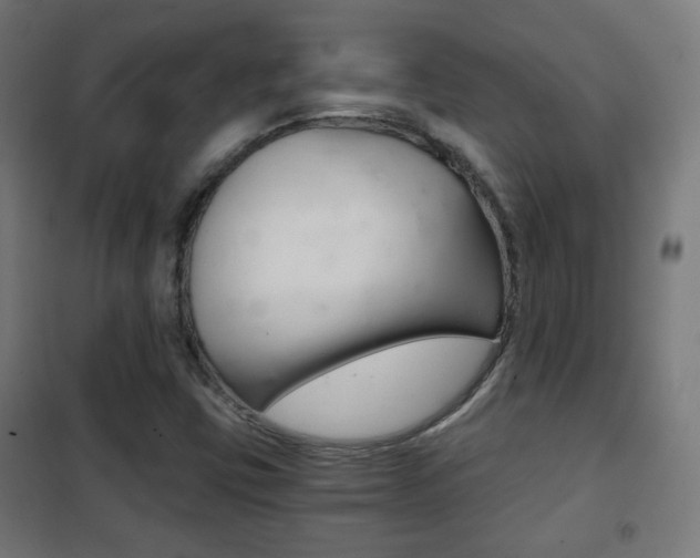 X0000102241403200807250827