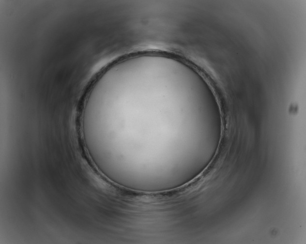X0000102241404200807250827
