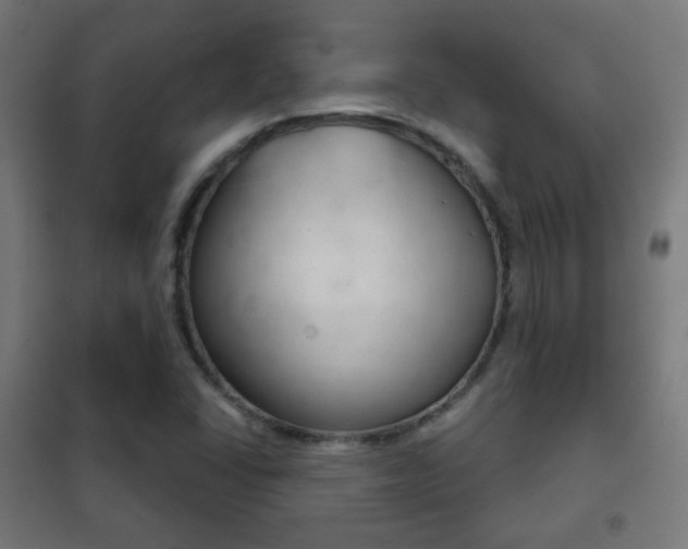 X0000102241406200807250827